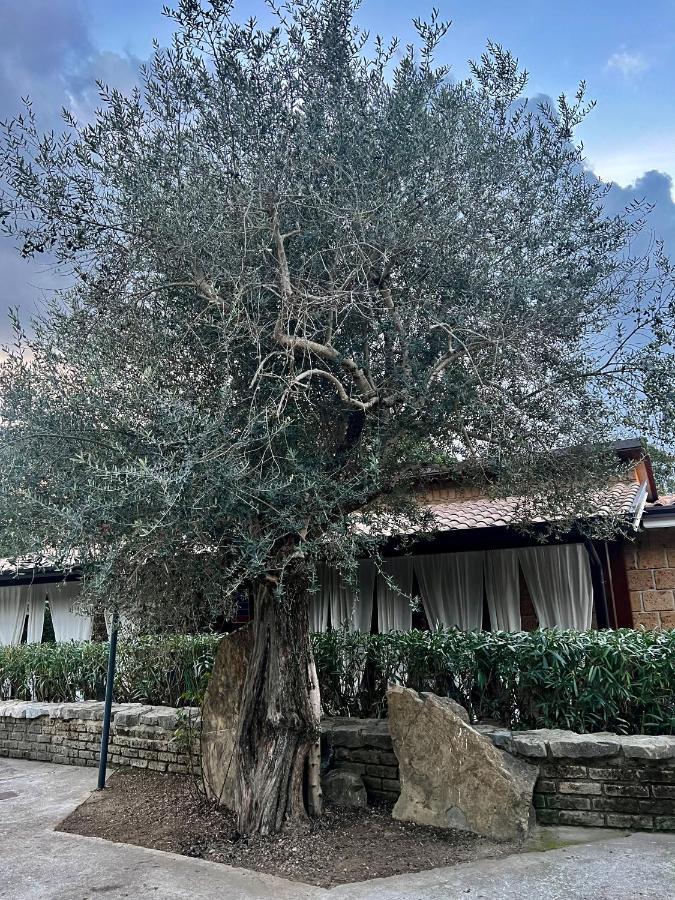Agriturismo A Casa Di Susanna Santo Stefano del Sole Exterior photo